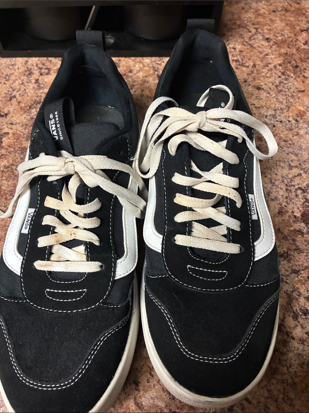 Vans Men's Black and White Low-Top Skate Sneakers
